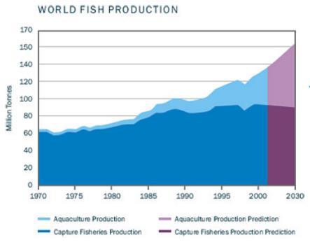 Opportunities Global demand Global aquaculture 2012 Value USD $135.10 billion Volume 66.