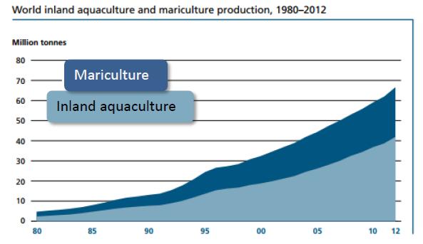 World Production 67% of global production is from