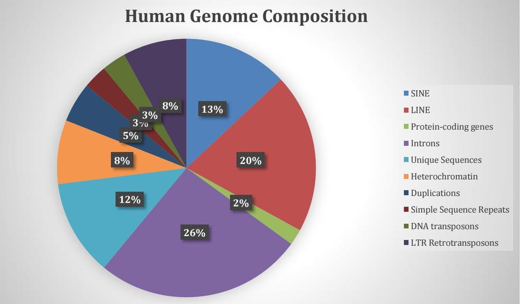 CONCEPT: HUMAN GENOME AND MEDICINE The human genome project sequenced the first human - Identified major components of the human genome - Protein coding regions make up only 2% of the genome - But,