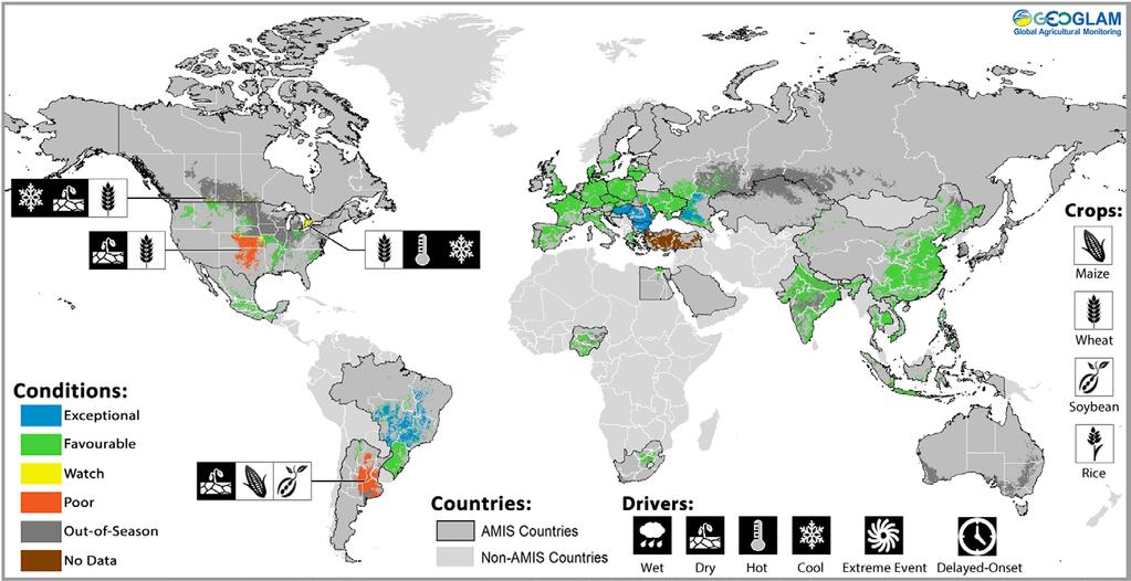 Crop Monitor: an international consensus assessment - May 28 th Crop condition and driver map synthesizing information for all four AMIS crops.