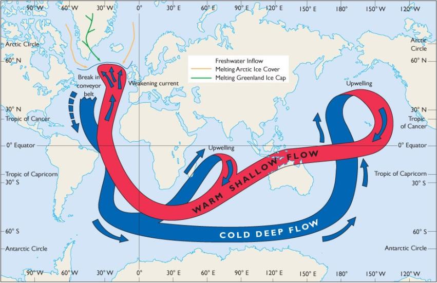 Global Warming and Thermohaline Circulation Major change in the redistribution of flow patterns, oxygen,