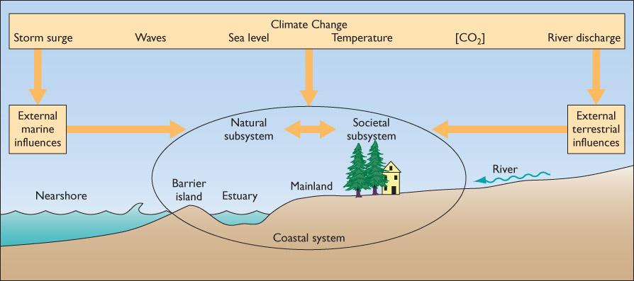 Ecosystems Coastal ecosystems are affected by a variety of environmental variables: Sea level Temperature Wave action CO2 concentration, etc.