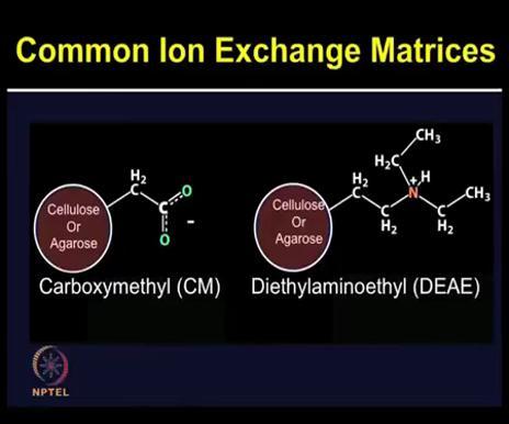 (Refer Slide Time: 13:07) In ion exchange chromatography, the proteins are separated based on charge difference.