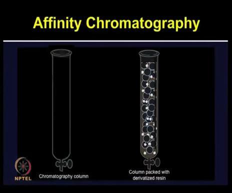 (Refer Slide Time: 20:38) So in affinity chromatography, the column is packed with resin which