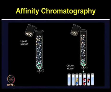 So due to the specific interaction, the affinity chromatography achieves very high degree of protein purification.