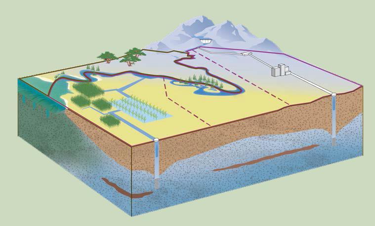Hydrogeologic Conceptual Model How does the groundwater/surface water system work?
