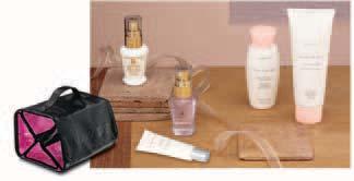 Sample orders for a more diversified inventory as well as the Beauty Essentials sets shown at left can be found on the Mary Kay InTouch Web site under Career and Education at Full-Circle Success.