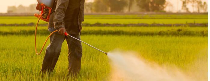PESTICIDES APPLICATION Pesticides are applied in the following forms: (i) Liquid (ii) Powder (iii) Granular. Around 70 75 percent of the pesticides are applied to the crops in liquid form.