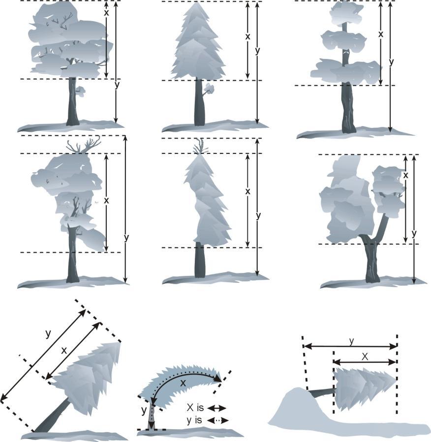 and down trees must be rated in relation to the actual length of the tree bole (as opposed to height above the ground.) Record the UNCOMPACTED LIVE CROWN RATIO to the nearest 1%. Figure 23-4.