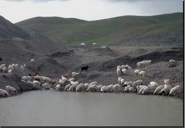 water in the mountainous region of Mongolia is fresh and