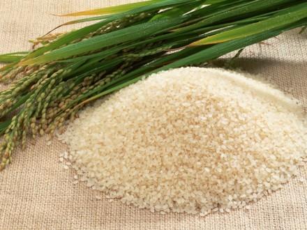 I N S I D E T H I S I S S U E : INFLATION WATCH (Page 2) PAKISTAN EXPECTS COMPARA- TIVELY A GOOD RICE PRODUCTION THIS YEAR DUE TO FAVORABLE WEATHER CONDITIONS IN THE COUNTRY.