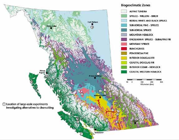 Applied Forest Ecological Experiments in BC Source: Vyse