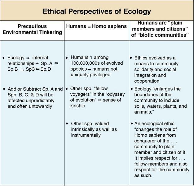 Ethics and ecology content: font size 20