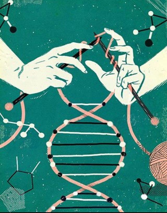 What is Genetic Engineering?