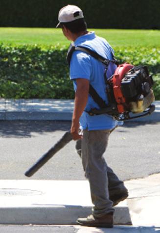Avoid using leaf blowers and other dust - producing equipment.