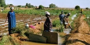 The problem Rainfall patterns are no longer regular or predictable When it rains, it pours Irrigation has long been seen as an option to