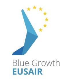 BLUE GROWTH fisheries and aquaculture The work done in the area of fisheries and aquaculture within the EUASIR TSG 1: 1.