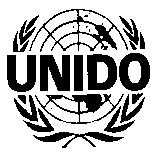 GENERIC TERMS OF REFERENCE FOR NATIONAL GENDER EXPERT UNITED NATIONS INDUSTRIAL DEVELOPMENT ORGANIZATION TERMS OF REFERENCE FOR PERSONNEL UNDER INDIVIDUAL SERVICE AGREEMENT (ISA) Title: National
