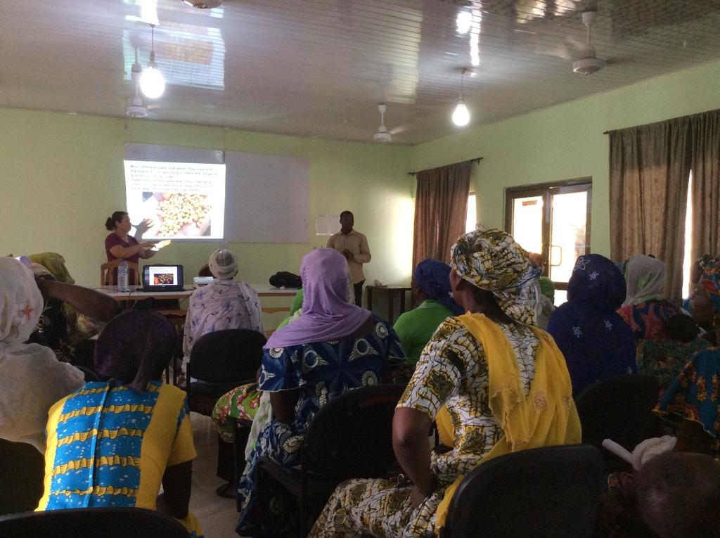 Provided Agronomic Expertise for MEDA in Upper West Trained 150 lead women farmers in Quality Seed