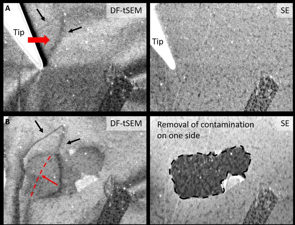 Fig. S3. Manipulation of a dislocation without mechanical cleaning. A The initial state as shown by DF-tSEM and secondary electron (SE) imaging.