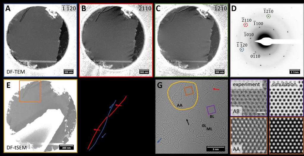 Fig. S6. AA stacking in dislocation nodes. A to C DF-TEM images of dislocation network with 3 dislocations of different Burgers vector. DF data acquired based on diffraction spots indicated in D.