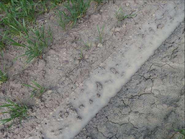 Impacts of dispersion on soil