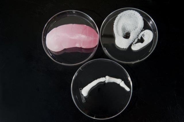 As such, various approaches have been proposed to improve the Two-dimensional Hollow tubes Hollow organs Solid organs Figure 5: Tissue engineering applications using the bioprinting technology.