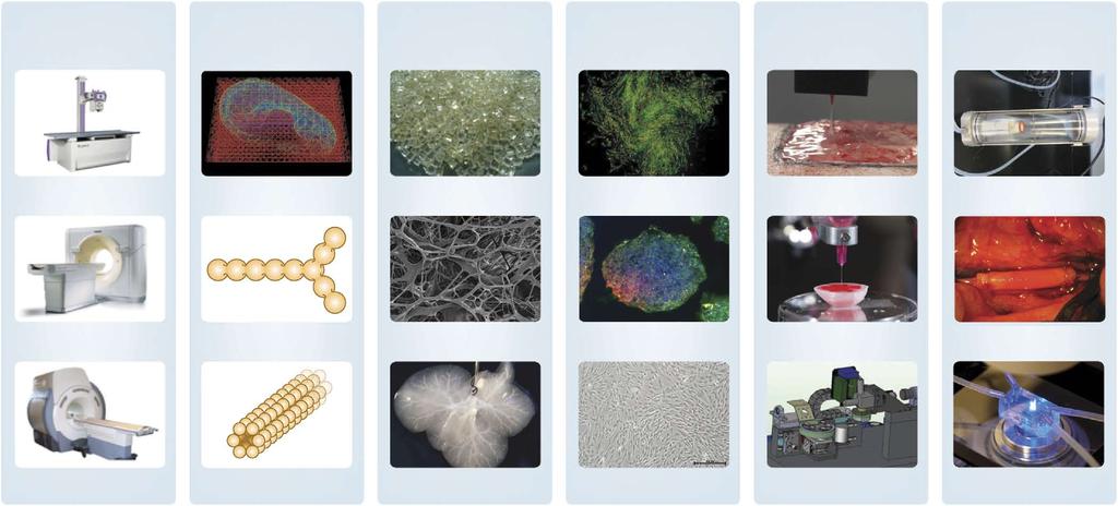 AN INTEGRATED APPROACH Compared with non-biological printing, 3D bioprinting involves additional complexities, such as the choice of materials, cell types, growth and differentiation factors, and