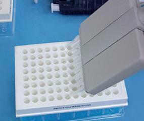 excess labels/nucleotides from PCR, random primer