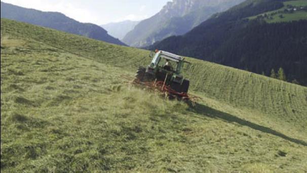 Livestock production in Slovenia Livestock production is the most important agricultural branch in terms of