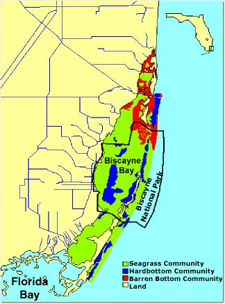 Biscayne Bay Ecosystem The ecosystem of Biscayne Bay includes the marginal freshwater and saltwater wetlands, intertidal communities, and marine communities.