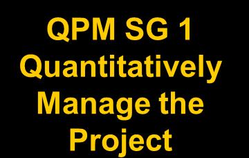 CMMI by PAs and Groups Managing Quantitatively OPP Organizational Process Performance QPM Quantitative Project Management OPP SG 1 Establish