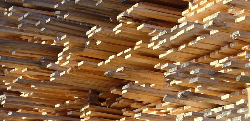 Briefing A Comparison between South Korea s Act on the Sustainable Use of Timbers and the EUTR The Republic of Korea had not clearly regulated the legality of timber and timber products until