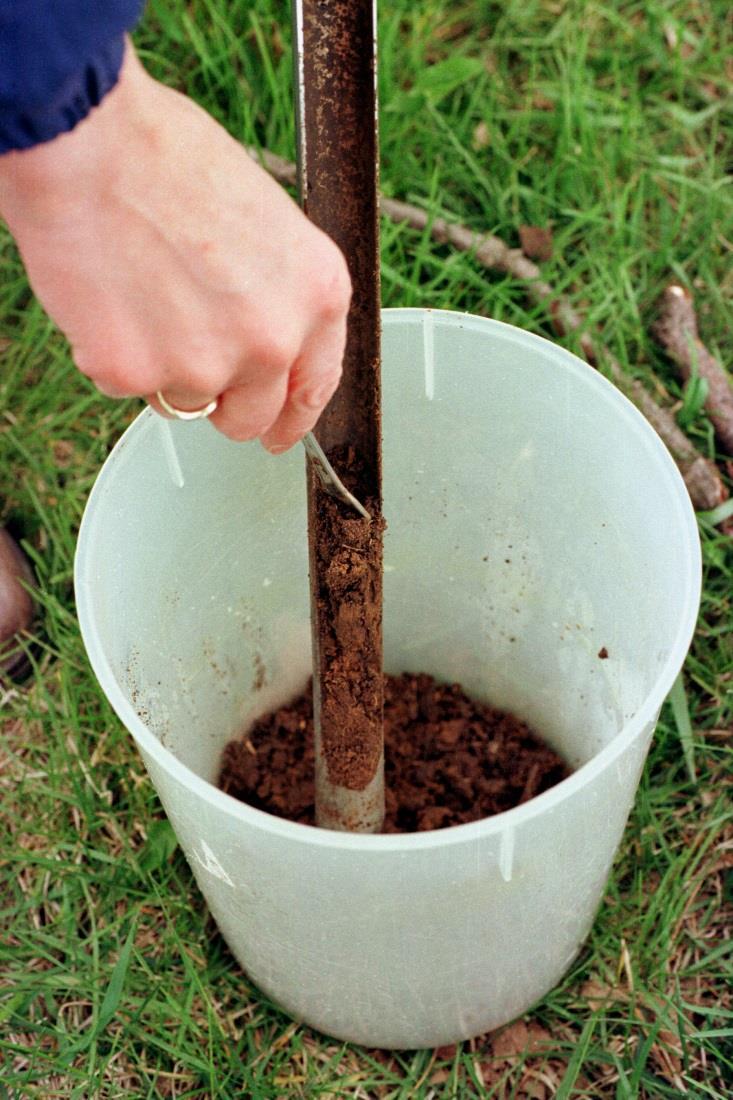 Soil Sampling is Critical Determine nutrient and soil chemical status Sample multiple spots, composite