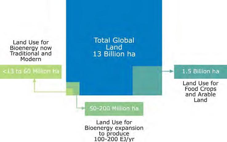 Wild guess #1: How Much Land for Bioenergy? Enough Forest land ~4 Billion ha Pasture land ~3.