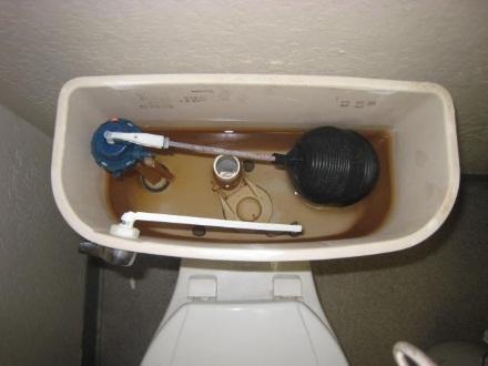 Perform a Toilet Tank Inspection Check your toilet flush tank for staining and sediment: Symptom Cause Solution White scale on float Calcium hardness Water softener Total dissolved solids Reverse