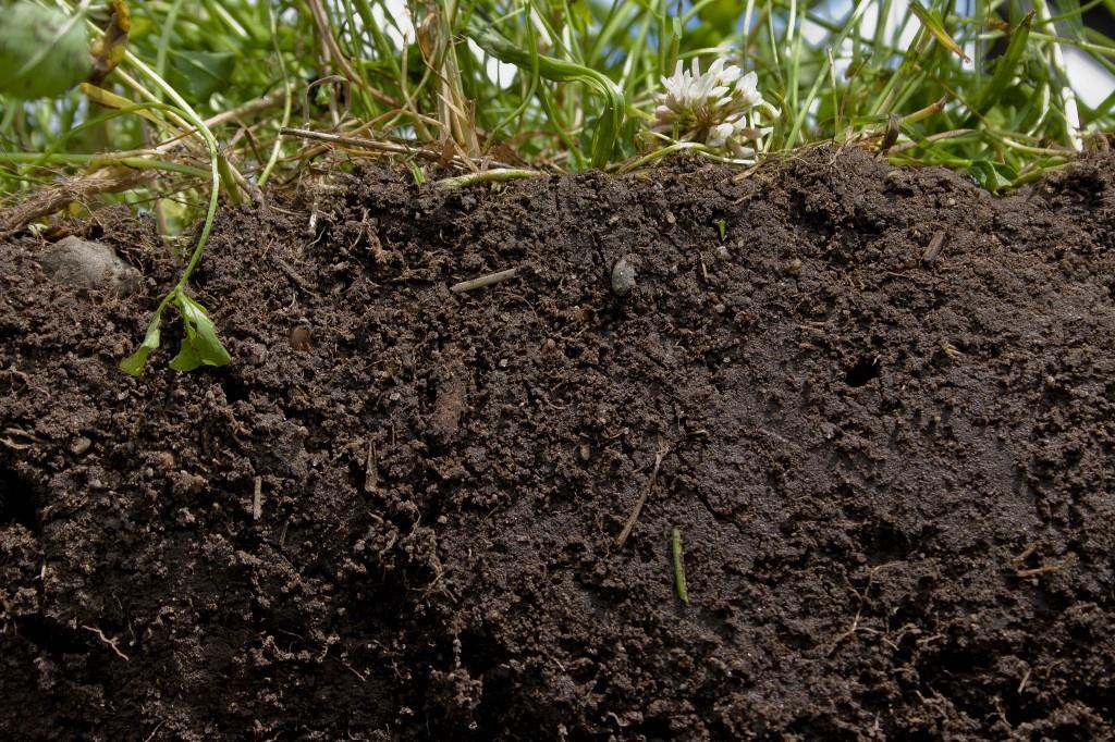 7 principles of SOC management (2) Soil organic carbon contributes to sustaining soil productivity by enhancing soil water