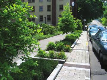Green infrastructure uses vegetation, soils, and natural processes to manage water and create healthier urban environments.