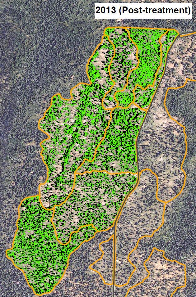 The complexity of forest canopy cover has increased in some ways: the number of patches, distance between patches, and range of distances between patches have increased.