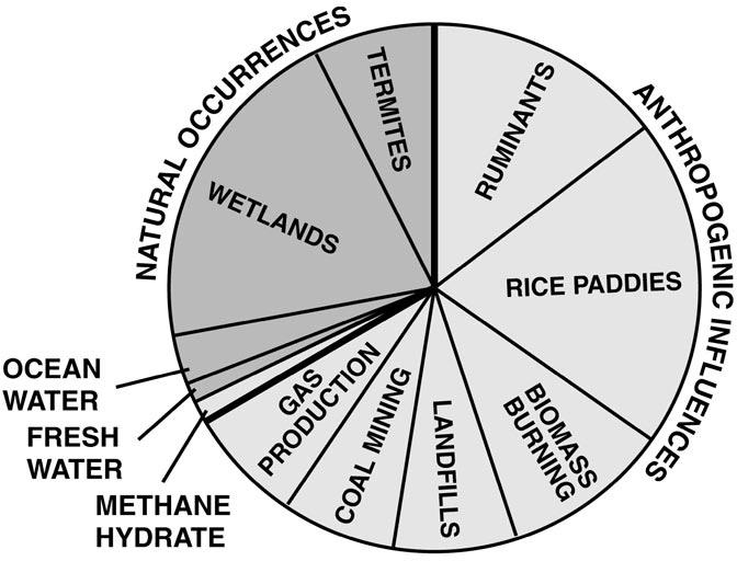 methane: the other greenhouse gas Carbon dioxide tends to dominate the greenhouse gas spotlight, but methane is a formidable competitor. Dr.