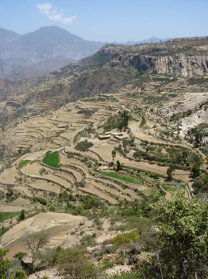 Research site: Geblen, Tigray Drought prone, mountainous, severely eroded Land shortages and fragmentation Very little irrigation potential Very