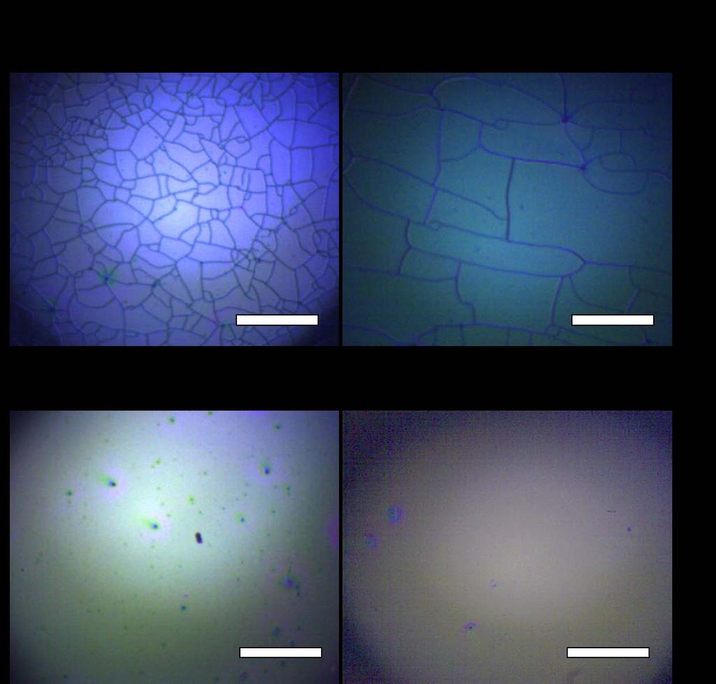 Figure S6: Cracks after the infiltration from the bottom-up for (a) PS(8K)/SiO 2 (11 nm), (b) PS(8K)/SiO 2 (25 nm), and (c) PS(8K)/SiO 2 (100 nm0 NP-top films.