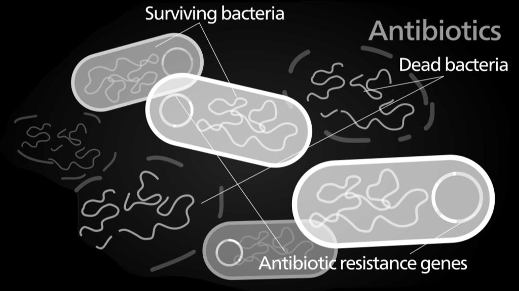 Antibiotic resistance and color changes