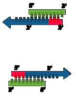 CONCEPT: POLYMERASE CHAIN REACTION The process has three repeated steps: 1.
