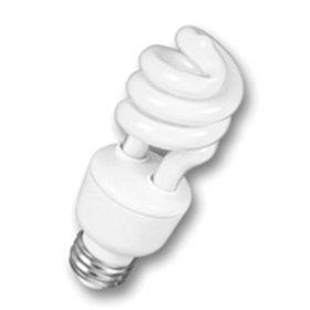 Big Energy Wasters Light Bulbs Incandescent Light Bulbs 95%
