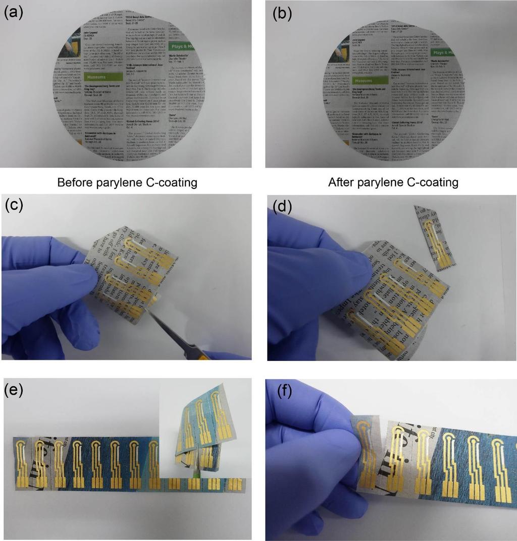 Figure S3. Photographs of newspaper (a) before and (b) after parylene C coating.