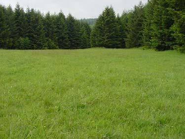 Elk Pastures Mow grass two times a year at McDonald and Baldi field during early summer and late fall. Leave a buffer approximately 10 feet from forest edge.