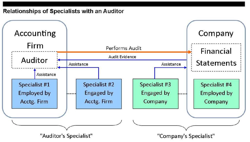 The Auditor's Use of