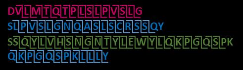 Assemble de novo Sequencing Tags de novo peptide sequencing for each MS2 spectrum Find overlaps