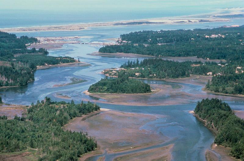 ESTUARIES WHERE RIVER MEETS THE SEA AN ESTUARY IS A PARTIALLY ENCLOSED BODY OF WATER FORMED WHERE A RIVER FLOWS INTO THE SEA THEY HAVE A MIX OF FRESH AND SALT WATER